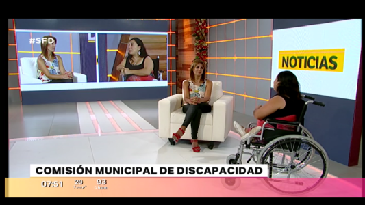 NUEVOS DESAFÍOS PARA LA COMISIÓN ASESORA DE DISCAPACIDAD