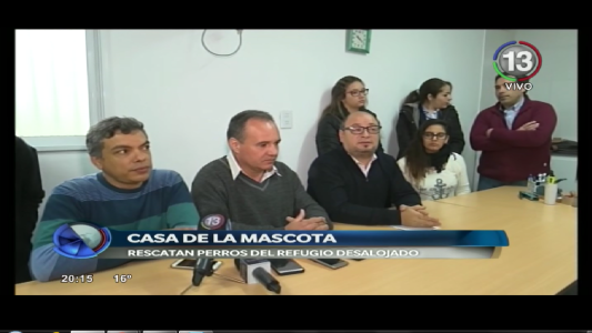 TRABAJO CONJUNTO PARA EL RESCATE DE ANIMALES