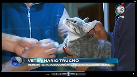 ATENDÍA MASCOTAS SIN TÍTULO