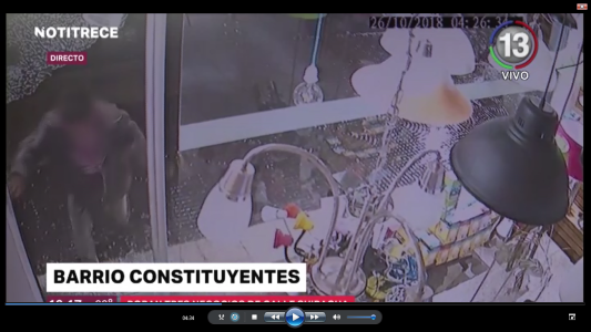 ROBOS EN BARRIO CONSTITUYENTES