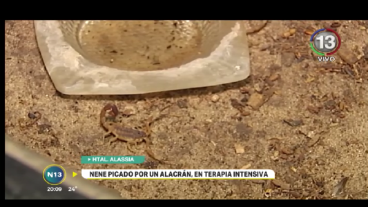 UN CASO GRAVE DE PICADURA DE ALACRÁN