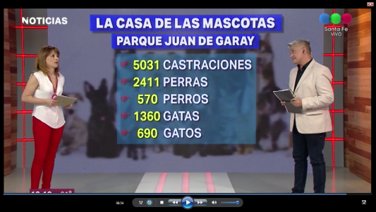 NUEVA CASA DE LAS MASCOTAS