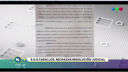 S.O.S CABALLOS RECHAZA UNA RESOLUCIÓN DE FISCALÍA REGIONAL