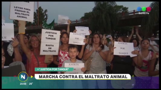 Marcha contra el maltrato animal