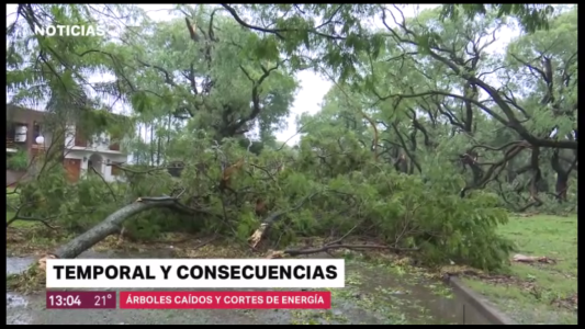 Temporal azotó Santa Fe