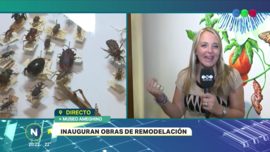 Reabrió sus puertas el Museo Ameghino