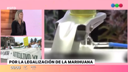 Madres marcharon para que se legalice la marihuana