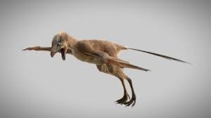 Descubrimiento Científico: Dinosaurio Murciélago