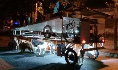 Un hombre argentino inventó un vehículo para pasear perros