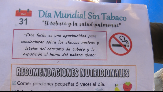 Día mundial sin tabaco: Actividades de concientización