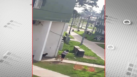 Tiroteos en el Centenario: El temor se apoderó de los vecinos del barrio