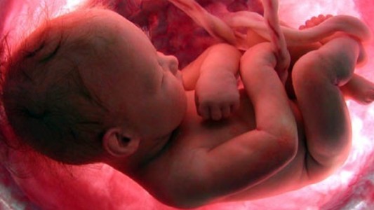 Laco participó del Congreso Mundial de Medicina Fetal