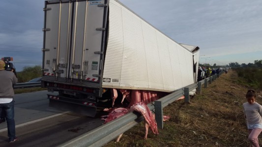 Recomiendan abstenerse del consumo de carne de cerdo del camión desfondado