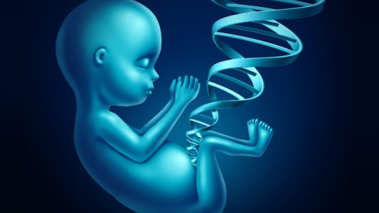 ¿Qué es la epigenética?