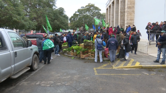 Productores realizaron un "alimentazo" vendiendo paquetes de verdura desde 10 pesos