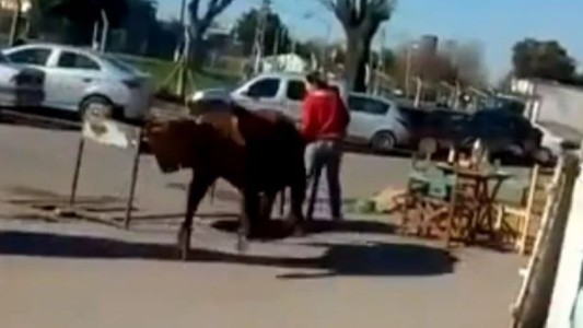 Video: un toro se escapó de un frigorífico y embistió a una mujer en plena calle
