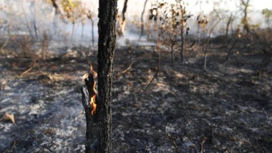 El humo de los incendios del Amazonas ya cubre gran parte de Argentina
