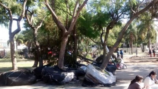 Concientizan sobre protección forestal