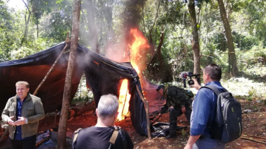 Paraguay: quemaron 350 toneladas de marihuana destinada al mercado argentino