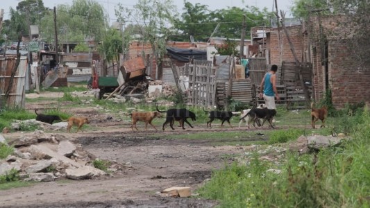 La pobreza alcanzó al 35,4 por ciento de las personas en el primer semestre de 2019