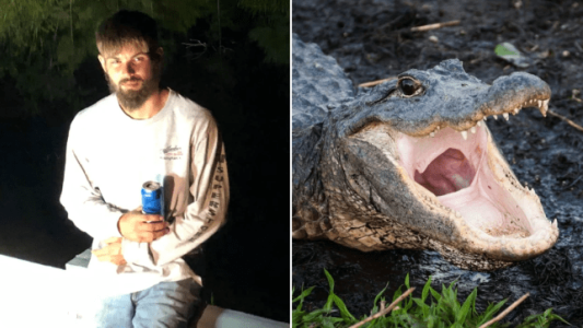 Intentó emborrachar a un cocodrilo: terminó mordido y detenido