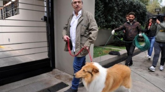 Alberto Fernández: paseo con su perro Dylan y selfie con vecinos, antes de votar