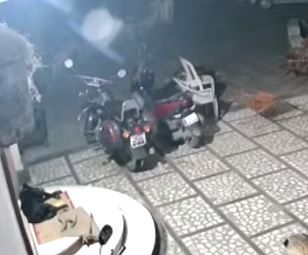 Leopardo ataca a un perro en la puerta de su casa