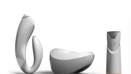 Un juguete sexual ganó un premio del Fondo Nacional de las Artes