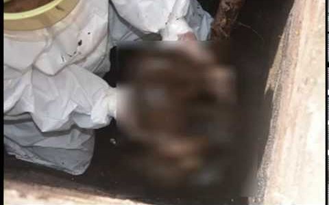 Conmoción en Tartagal: Una mujer fue asesinada y su cuerpo arrojado a una letrina