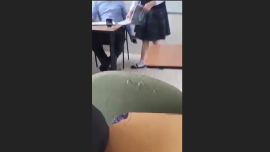 Sorprenden a profesor que graba a alumna por debajo de su pollera