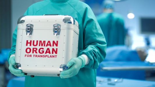 Santa Fe: Récord absoluto de donación de órganos durante 2019