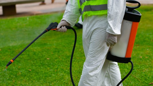 Reclaman contra las fumigaciones frente a la Casa de Gobierno