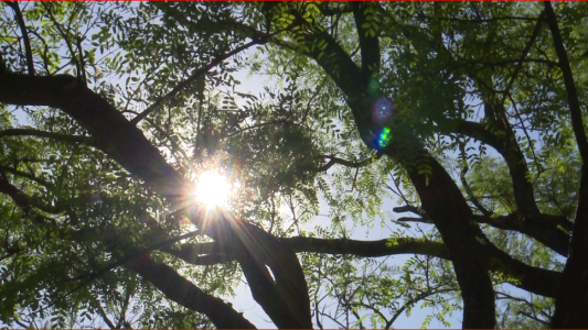 Santa Fe es un horno: La máxima llegaría a los 40 grados