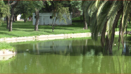 Realizan trabajos de limpieza en los piletones del Parque Garay