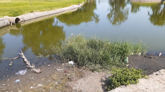 Solicitan bebederos, cestos de basura y baños en el Parque Juan de Garay