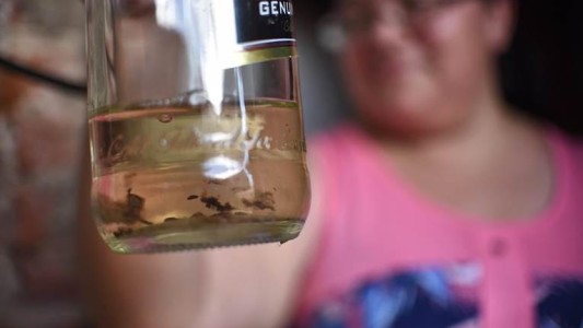 Continúa el operativo de descacharrado asistido en Fomento 9 de Julio