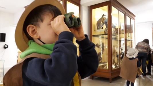 El Museo Ameghino inicia el período de visitas mediadas