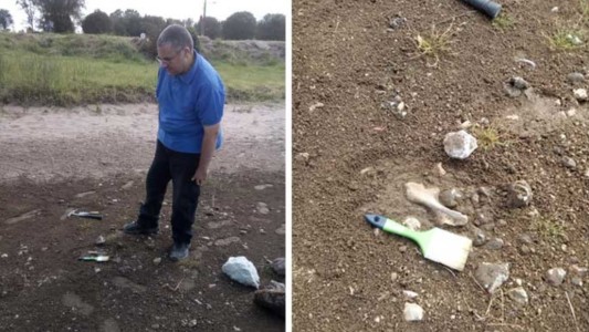 Un gliptodonte en una laguna bonaerense: restos de hace miles de años