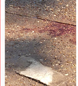 Asesinan a un joven e hirieron gravemente a otro en el Fonavi Centenario