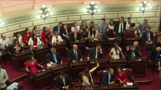 Ley de necesidad pública: Preferencia para ser tratada la semana que viene