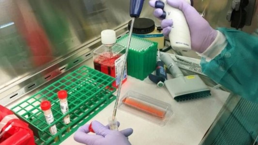 Hay 11 nuevos casos de coronavirus en el país: Uno en la provincia de Santa Fe