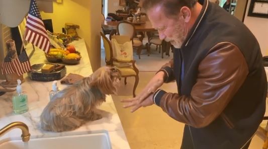 Video: Arnold Schwarzenegger explica cómo lavarse las manos para prevenir el coronavirus