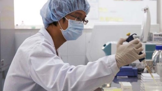 Coronavirus: el Banco Mundial aprobó U$S300 millones para la Argentina