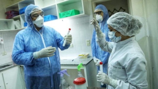 Coronavirus en Argentina: el Gobierno anunció la llegada de 31 mil reactivos para hacer pruebas
