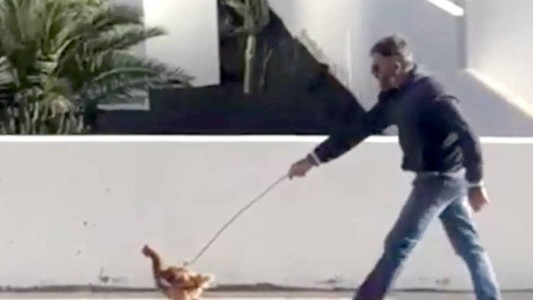 Violó la cuarentena para pasear una gallina y deberá pagar miles de euros