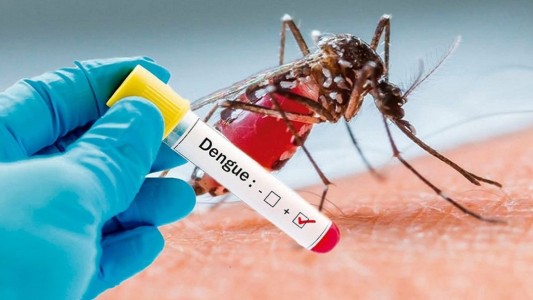 1038 casos positivos y 2 muertos por dengue en lo que va del año en la provincia