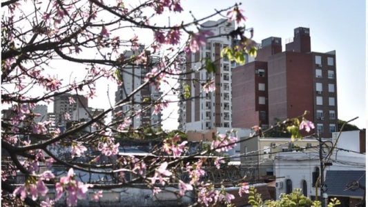 Recomendaciones para los consorcios en tiempos de COVID-19