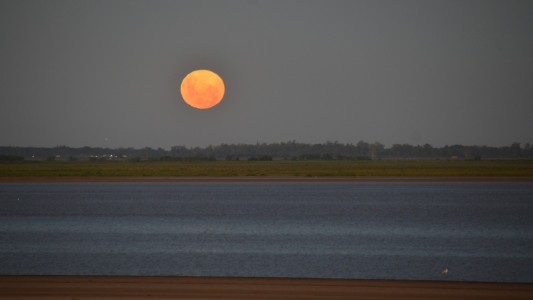 Asomate para disfrutar del espectáculo que nos regala la superluna rosa de abril