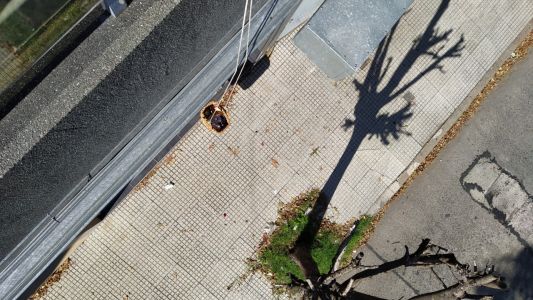 El hombre que regala alimentos en una canasta desde su balcón para los que lo necesiten