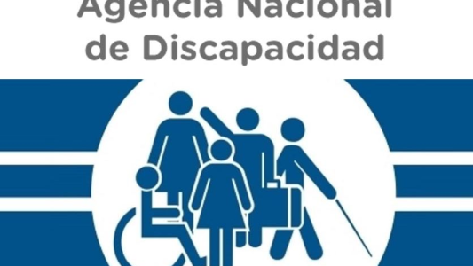 Dieron a conocer los requisitos para las salidas de personas con discapacidad